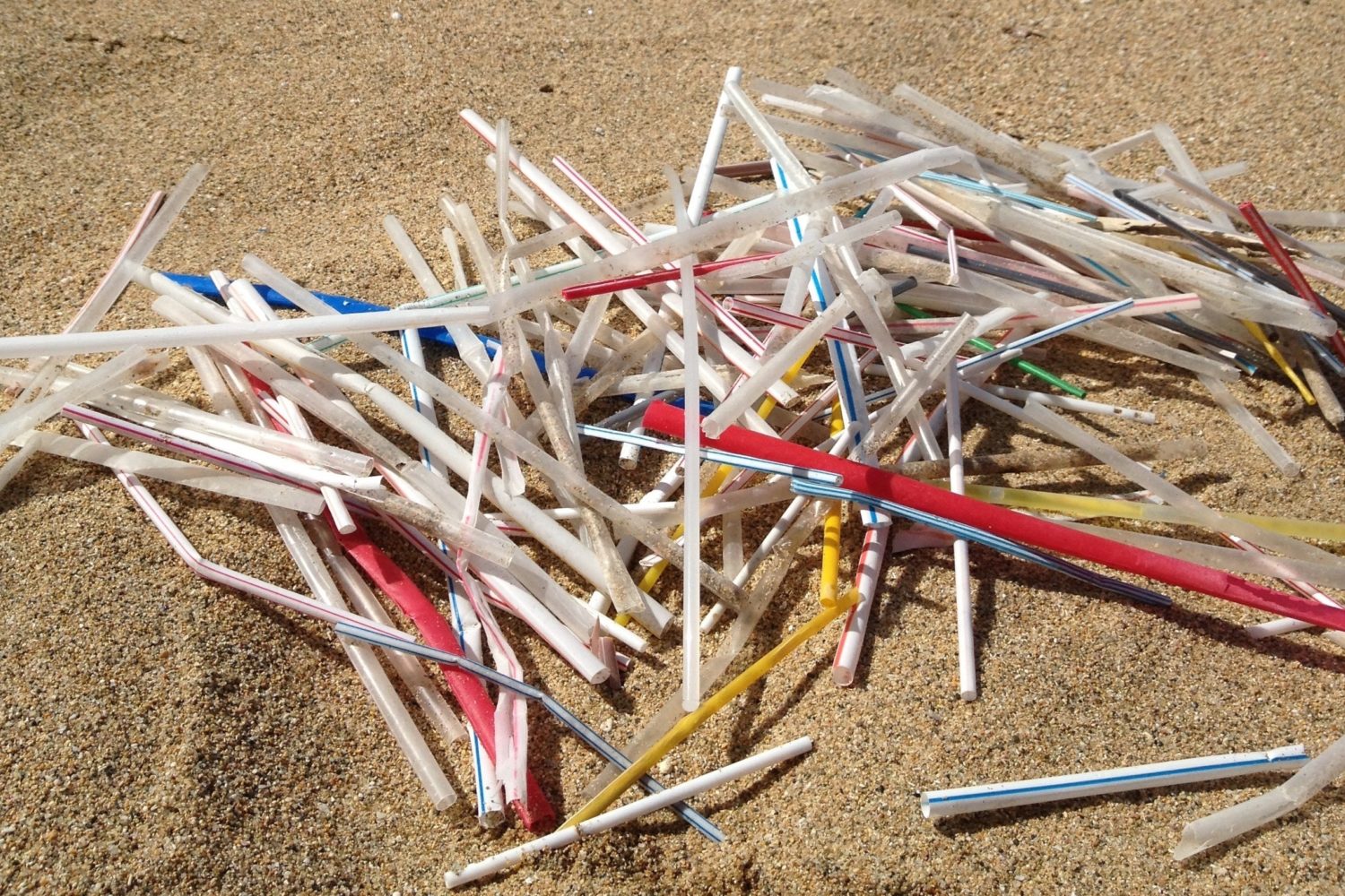 Plastic Pollution Coalition